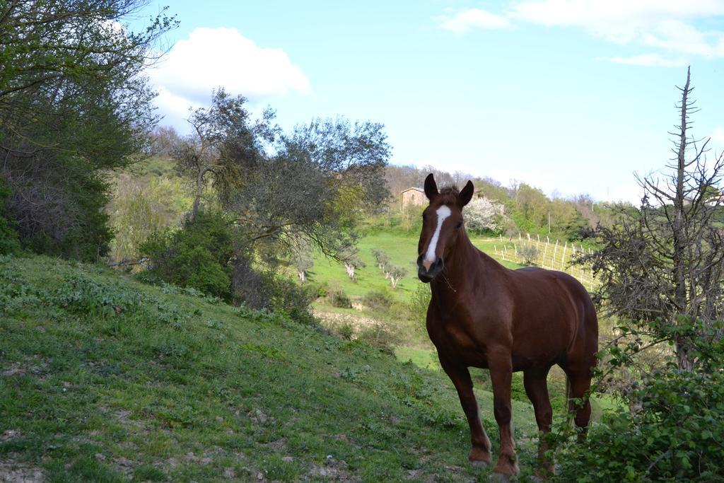 Mengara Agriturismo Marano מראה חיצוני תמונה